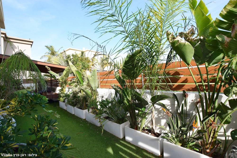 המתחם החיצוני - רוזה דרים - סוויטות פרטיות להשכרה לפי שעה 112848