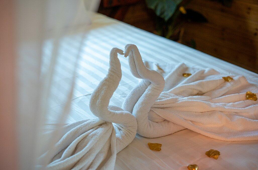 צימרים עם בריכה וג'קוזי פרטי - נווה בר - מלון בוטיק בכפר - 5 בקתות עץ ו 5 סוויטות בנווה מבטח - צימרים VIP 89134