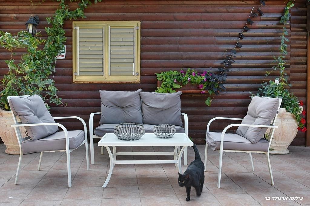 הבקתות - קדמת עדן- מתחם אירוח ייחודי הממוקם בלב הגליל 20862