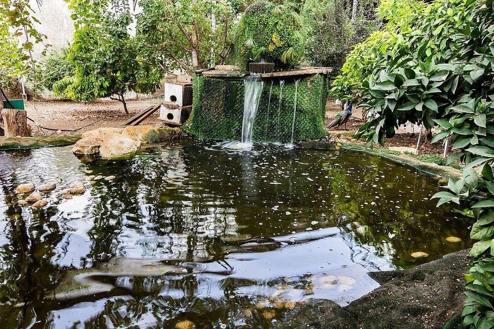 חצר ובריכה - ויליג קומפלקס - אירוח זוגי ודיסקרטי בניר בנים 121816